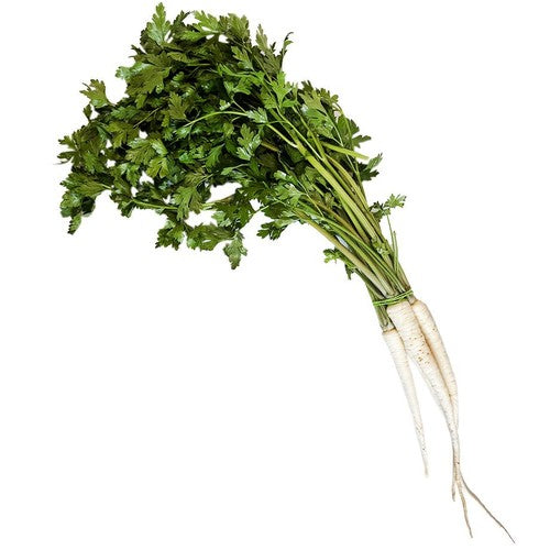 Pietruszka młoda pęczek Warzywa Auchan 1 sztuka
