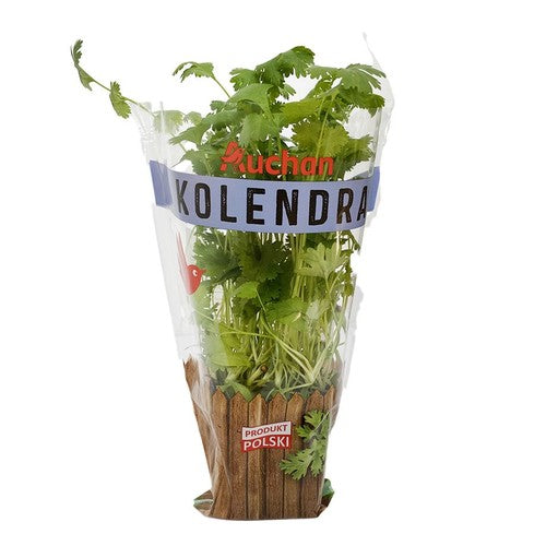 Kolendra Auchan sztuka