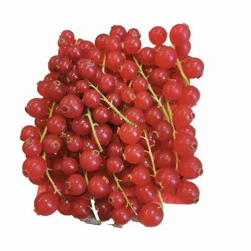 Czerwona porzeczka Owoce Auchan 125 g