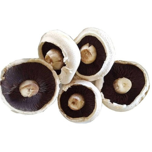 Pieczarki XL grzyby świeże 500 g