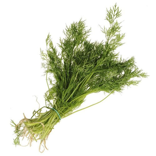 Koperek pęczek Warzywa Auchan sztuka